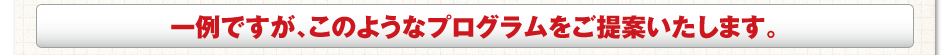 一例ですが、このようなプログラムをご提案いたします。